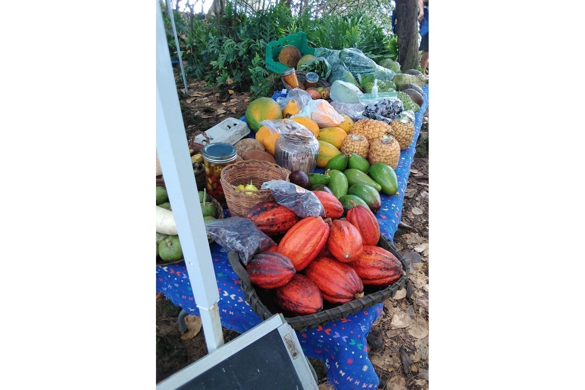 14252 Papaya Farms Rd, Pahoa, HI Locations