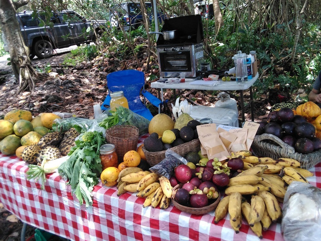 14252 Papaya Farms Rd, Pahoa, HI Locations