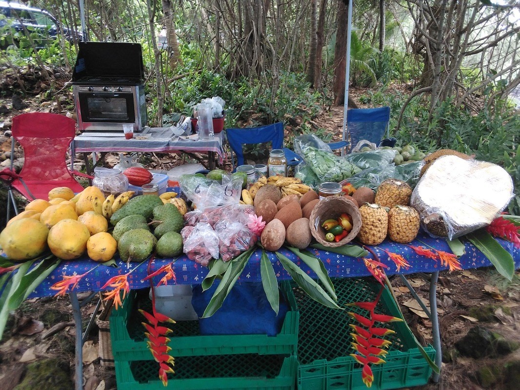 14252 Papaya Farms Rd, Pahoa, HI Locations